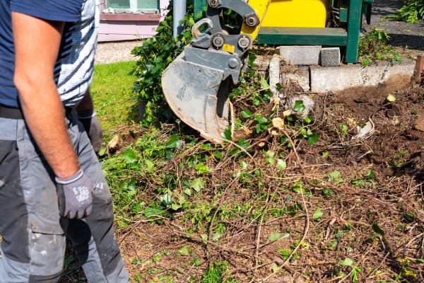 Hedge Removal Service in Bremerton