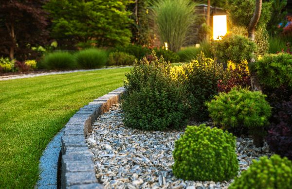 Cost of Bush Relocation in Bremerton