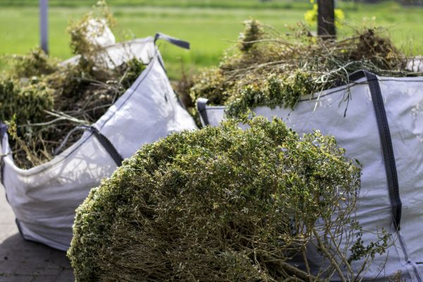 Cost of Shrubs Removal in Bremerton