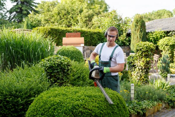 Shrubs Trimming in Bremerton